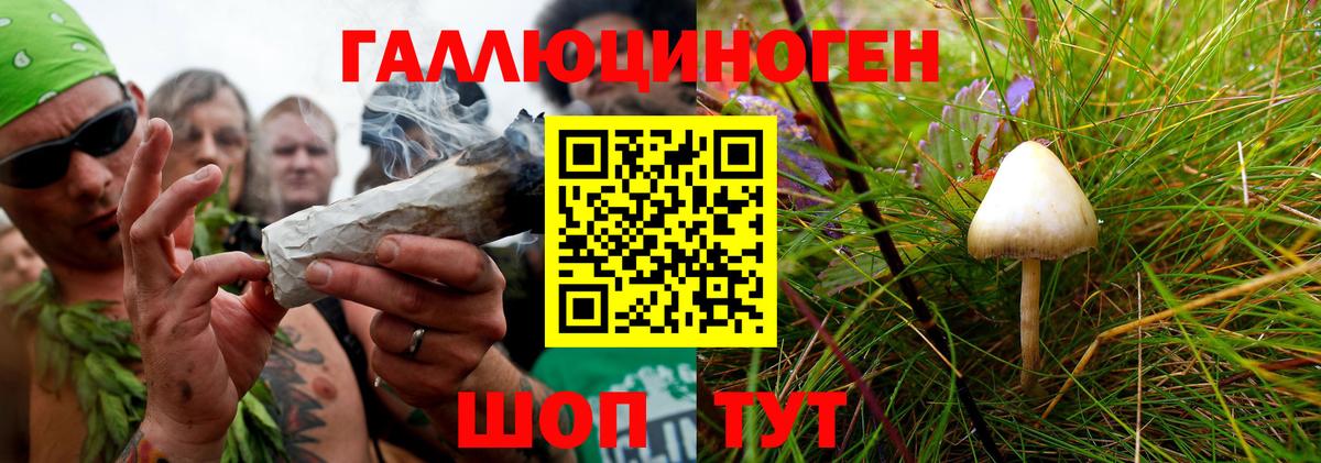 Псилоцибиновые грибы MAGIC MUSHROOMS  Вход с VPN  Кузнецк  где можно купить   Псилоцибиновые грибы мухоморы 